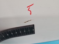 Drzwi tył prawe Mercedes Sprinter II 906 HB 5d Brak