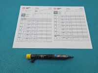 Wtryskiwacz Renault Kangoo I 1.5 DCI