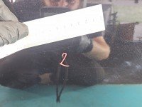 DRZWI PRZÓD LEWE KIEROWCY Mercedes CLS II C218 W218 4d czarny 197