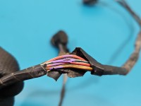 Czujnik parkowania PDC Vw Passat CC 3C8971104C, 3C0919275S LC8Y