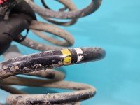 Sprężyny tył komplet Renault Trafic III HB