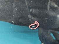 Drzwi tył prawe BMW X6 E71 HB 5d 475/9