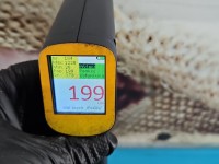 Drzwi tył prawe Skoda Roomster HB 5d LF9E