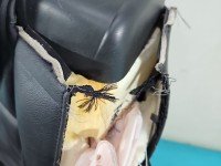 Fotel tył lewy II rząd tylny Vw Sharan II 10- 2 rząd