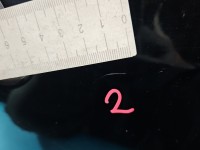 Klapa tył Renault Scenic III HB 5d TEGNE