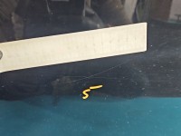 DRZWI PRZÓD PRAWE PASAŻERA Ford B-Max 12-17 5d czarny SF