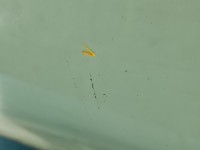 Szyba drzwi przód lewa KIEROWCY Bmw X3 e83 HB