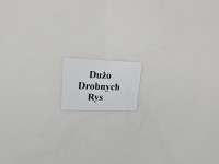 DRZWI PRZÓD PRAWE PASAŻERA Mazda CX-5 I 12-17 5d bordowy 41V