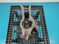 Zwrotnica lewa piasta przód 2.0 hdi Peugeot 407