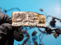 Wiązka instalacja Jaguar, Komplet przewodów komory silnika ze skrzynką bezpieczników, GX73-14A076-AA, GX73-14290-AGD,...