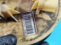 pompka Pompa paliwa Renault Master III 10-24 2.3 dci 172024101R, 0580203315