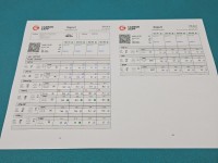 TESTOWANY Wtryskiwacz komplet Citroen C2 0445110135 1.4 hdi