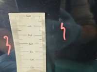 DRZWI PRZÓD PRAWE PASAŻERA Bmw f10 f11 5d A89