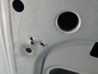 Klapa tył Peugeot Partner II HB 5d