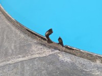 NAROŻNIK ZDERZAKA TYŁ Mercedes Vito W639 A6398801771007