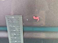 DRZWI PRZÓD PRAWE PASAŻERA Nissan X-trail II T31 5d brązowy k55