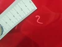 DRZWI PRZÓD PRAWE PASAŻERA Vw Touran I 5d czerwony LY3D