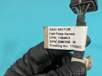 Wiązka instalacja 11206812, 11206812, Europejska, pompy paliwa MG MG3 24- 11654074AR, 11206812