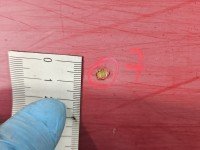 DRZWI PRZÓD PRAWE PASAŻERA Mitsubishi L200 5d czerwony