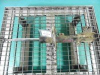 Amortyzator przód prawy przedni Citroen C8