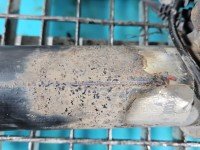 Amortyzator przód lewy przedni Vw Crafter 06-