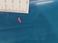 DRZWI PRZÓD PRAWE PASAŻERA Renault Kangoo I 5d zielony