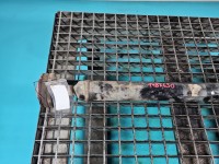 Wał napędowy przód Suzuki Grand Vitara II 2.4 16V (J24b)