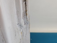 Drzwi tył lewe Iveco Daily III HB 5d biały