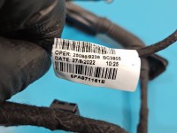 Instalacja Wiązka drzwi tył prawych Formentor 20- 5FA971161E, 4L0971841