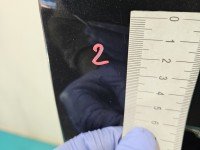 DRZWI PRZÓD PRAWE PASAŻERA Opel Antara 5d czarny GAR