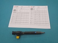 Wtryskiwacz Citroen C4 Grand Picasso II 13-22 28602948, 9674984080 2.0 HDI