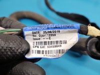 Instalacja Wiązka drzwi tył lewych Renault Trafic III 240529932R