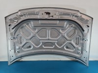 Maska przednia Ford Freestyle Taurus X beżowy PNUPL0 - Silver Birch Metallic