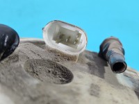 pompka Pompa paliwa Renault Scenic I 1.6 16V 7700431718A 4 PIN