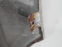 Błotnik przód lewy Bmw e39 TITANSILBER METALLIC (354)