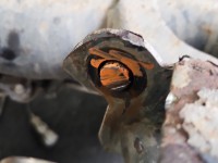 Tylna belka oś tył Dacia Dokker 1.6 16V