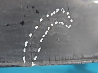 Zderzak przód przedni Audi A5 8T LZ9Y