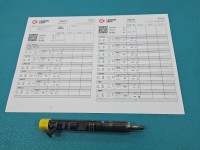 Wtryskiwacz Renault Scenic II 28232248 1.5 dci