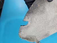 Nadkole tył lewe Vw Passat B8 3C0810971F