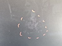 Maska przednia bmw F30 SPARKLING BRONZE METALLIC (B06)