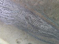 Skrzynia biegów Renault Clio III 1.6 16V