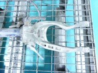 Amortyzator przód prawy przedni Alfa romeo 156