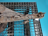 Piasta koła tył lewa zwrotnica łożysko Toyota Avensis III T27 2.2 D-CAT