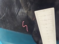 DRZWI PRZÓD PRAWE PASAŻERA Peugeot 3008 II 5d Ktvd