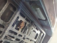 Klapa tył Toyota Avensis III T27 kombi 5d grafitowy 1G3