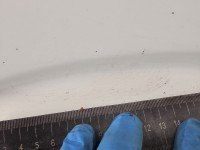 Błotnik przód prawy Mercedes Vito W639 biały 9147