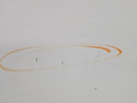 DRZWI PRZÓD PRAWE PASAŻERA Fiat Ducato IV 5d 549