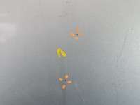 Maska przednia Citroen C3 Picasso 08-17 srebrny EZRC