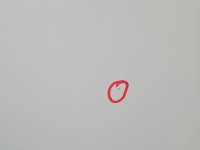 Drzwi tył prawe Skoda Fabia II kombi 5d LF9E