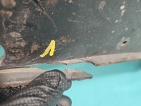 Zderzak przód Skoda Octavia II 9202